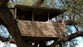 Custom Tree House